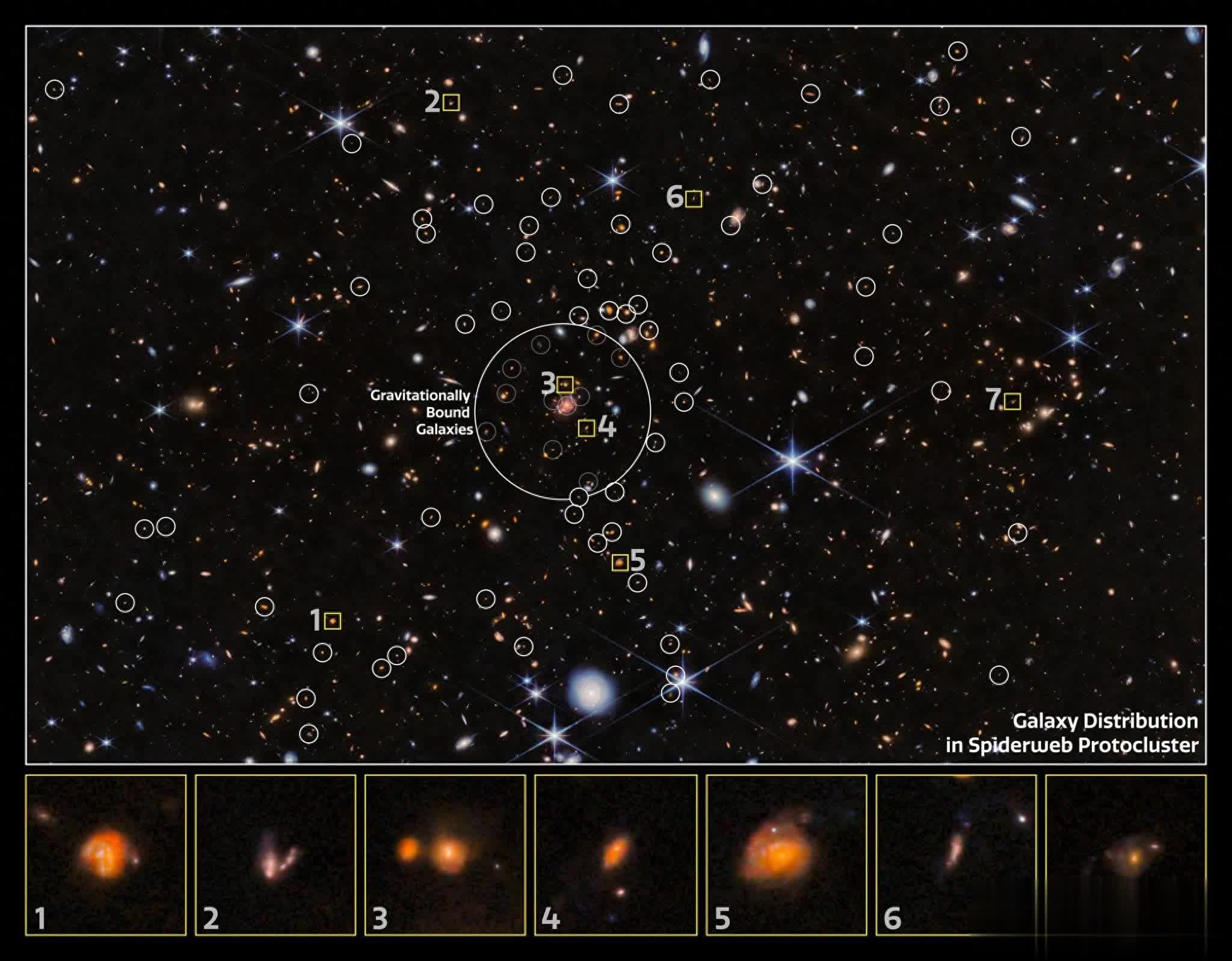 韋伯望遠鏡新發現：銀河“城市”在蜘蛛網星系團中不斷擴張