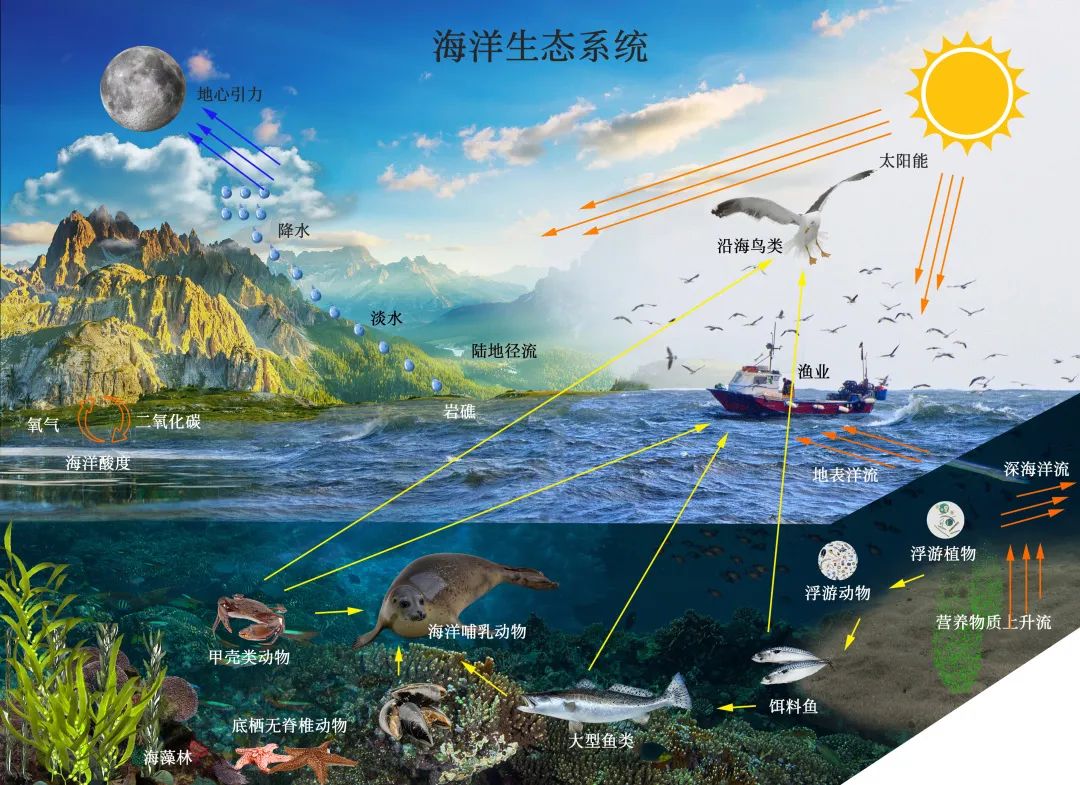 月球对地球的作用，这3点你绝对意想不到！