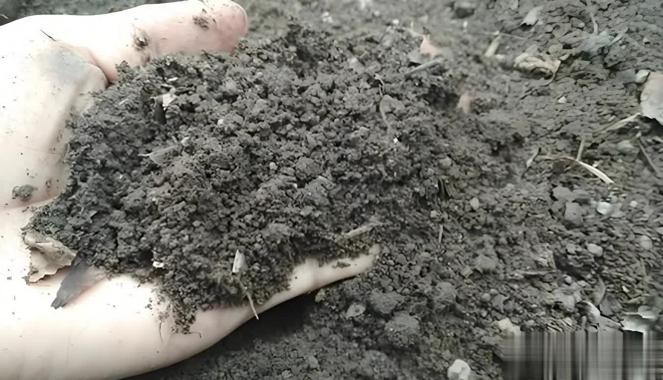 農村最好農家肥遭嫌棄，這樣處理肥效翻倍！ 