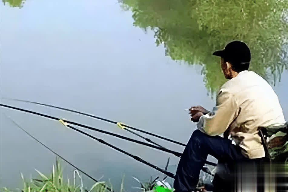 窩料加“鎮靜劑”黑科技讓魚趴窩不逃？千萬別試！ 