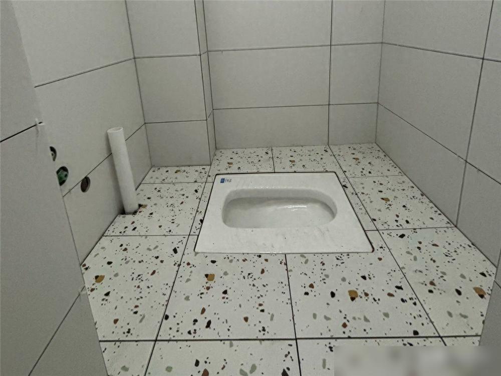 大哥曬1㎡衛(wèi)生間裝修，合理利用空間走紅，實(shí)用到爆！ 