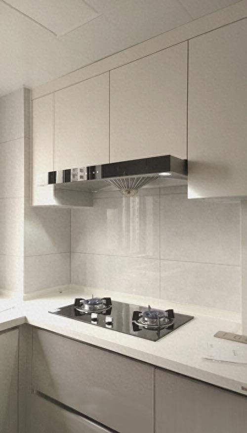 如何选购抽油烟机？这几点参数一定要知道！ 