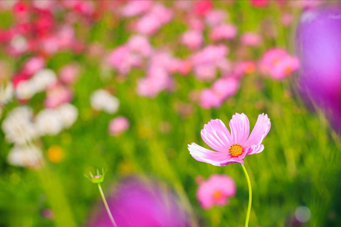 全职妈妈，一定要学会自己托举自己