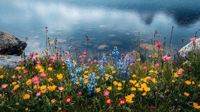 一场缘一生恋，我承认，我忘不了你