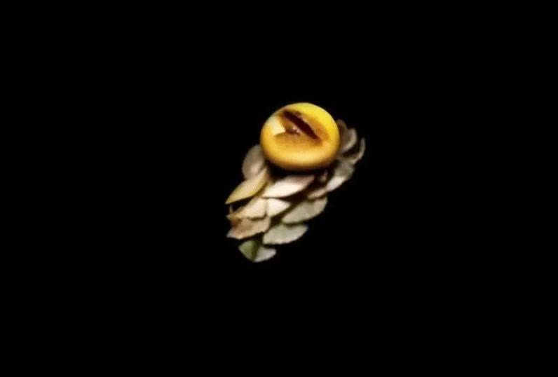 熱血傳奇這款超逼真首飾竟沒成高端裝備？太可惜了！