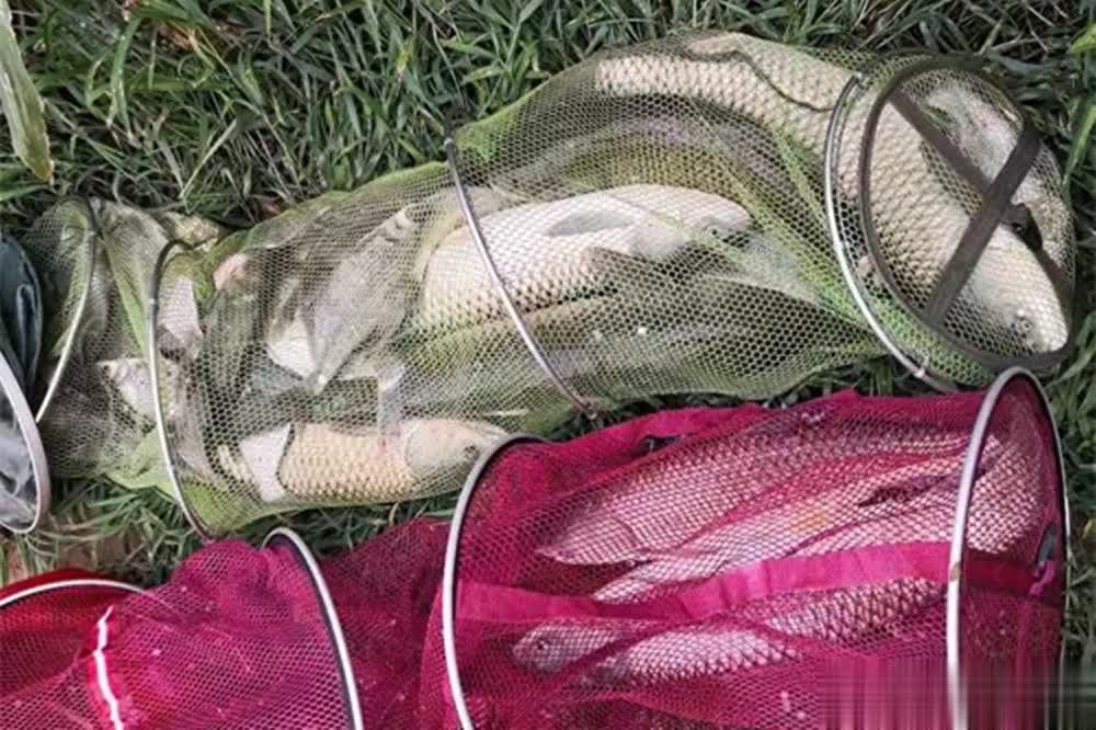 夏季野钓如何选钓位？牢记鱼类“四趋”特性